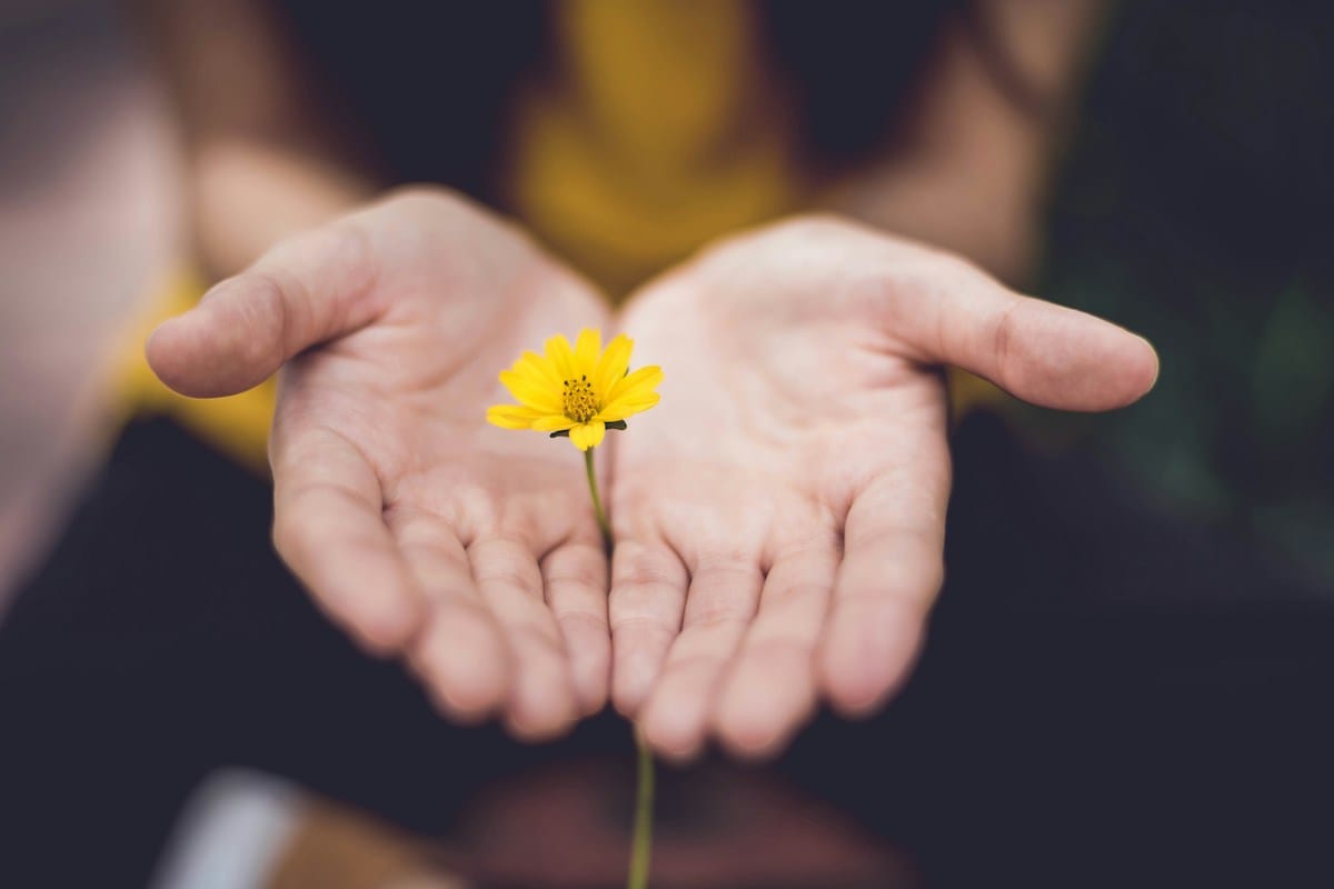Hands gently cradle a small yellow flower, conveying care and tranquility. The soft focus and natural lighting enhance a feeling of tenderness.